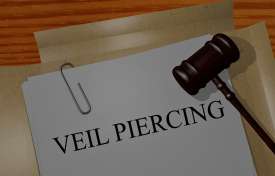LLC Collection: Piercing the Veil