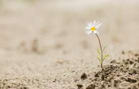 Building Resilience With Self-Care